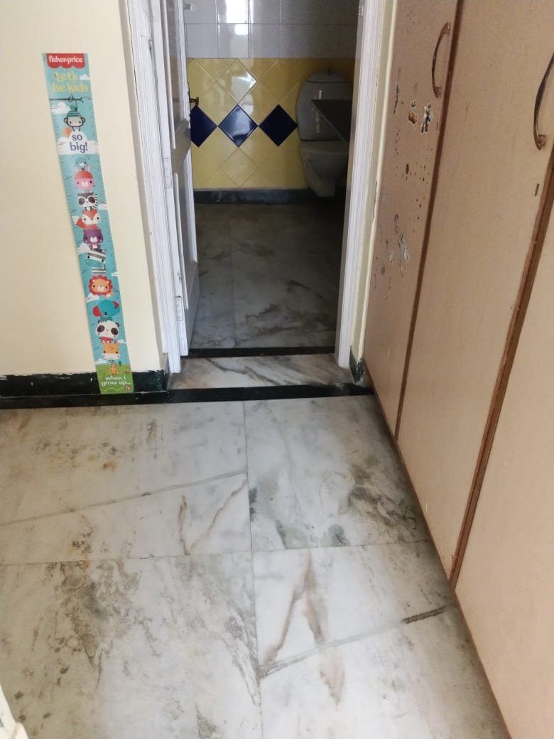 WhatsApp-Image-2024-08-27-at-17.16.28-1