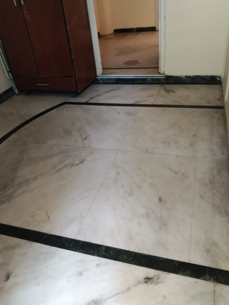 WhatsApp-Image-2024-08-27-at-17.16.28