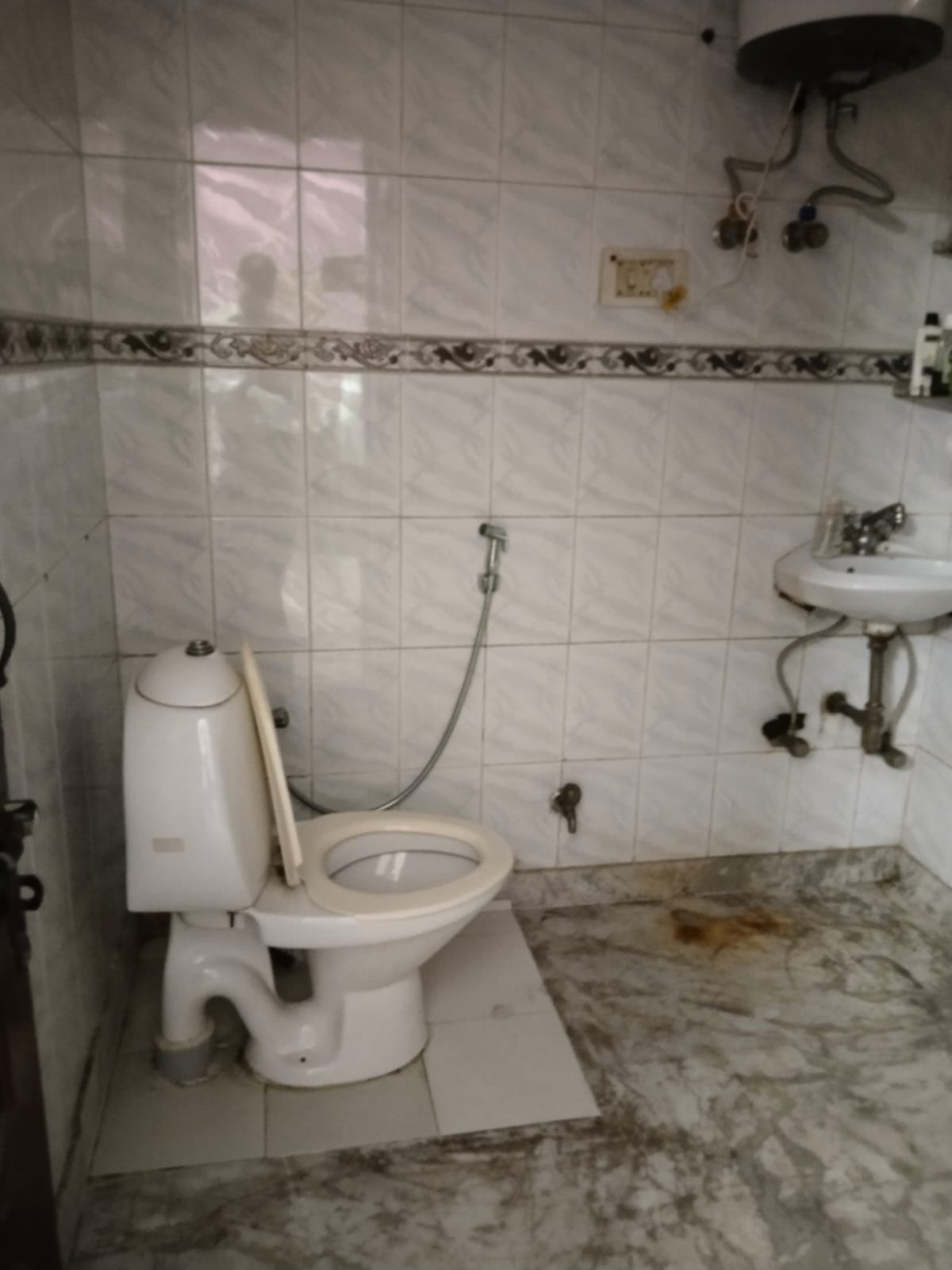 WhatsApp-Image-2024-10-08-at-17.31.29