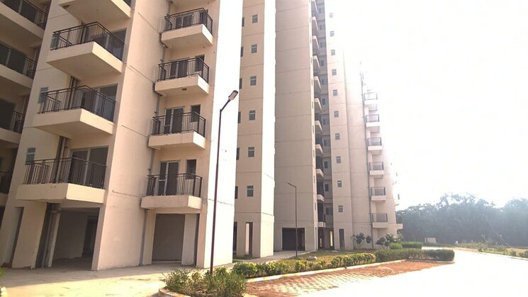 IN_638941653926206413-2209250716321632