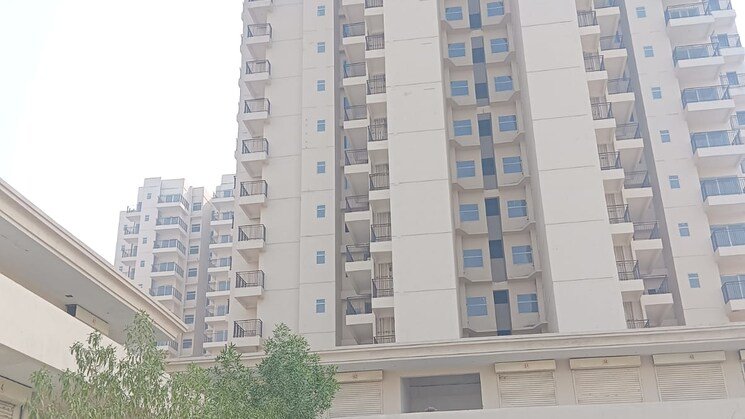 IN_638941653926878099-2209250716321632