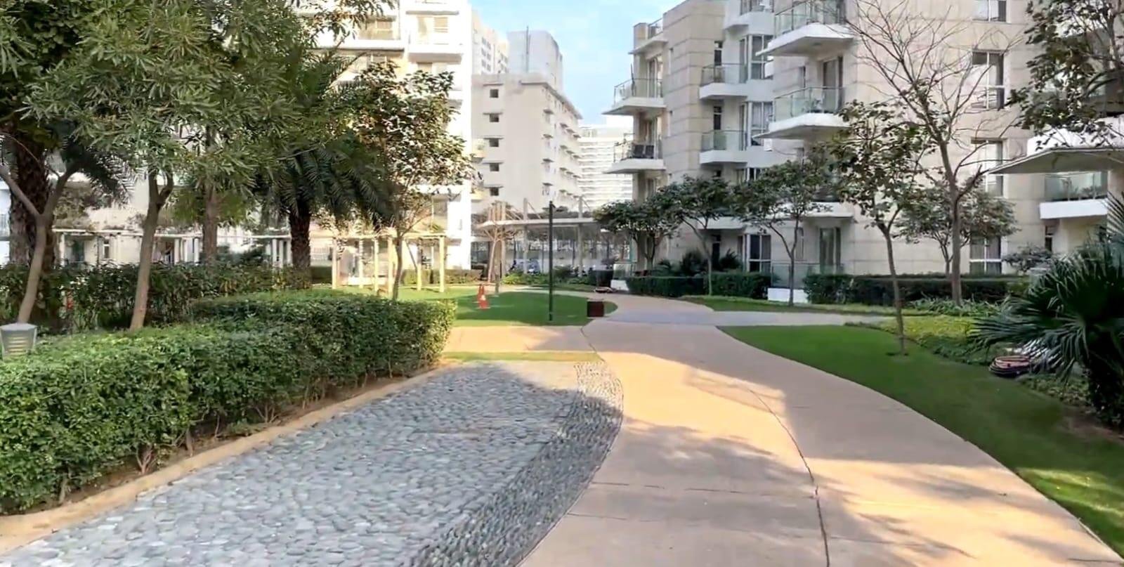 bfbshz8_1741842972_577156849_O