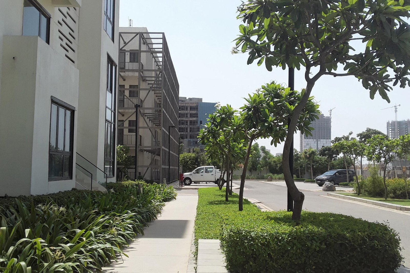 skfhmc5_1732708044_533878041_optOrig