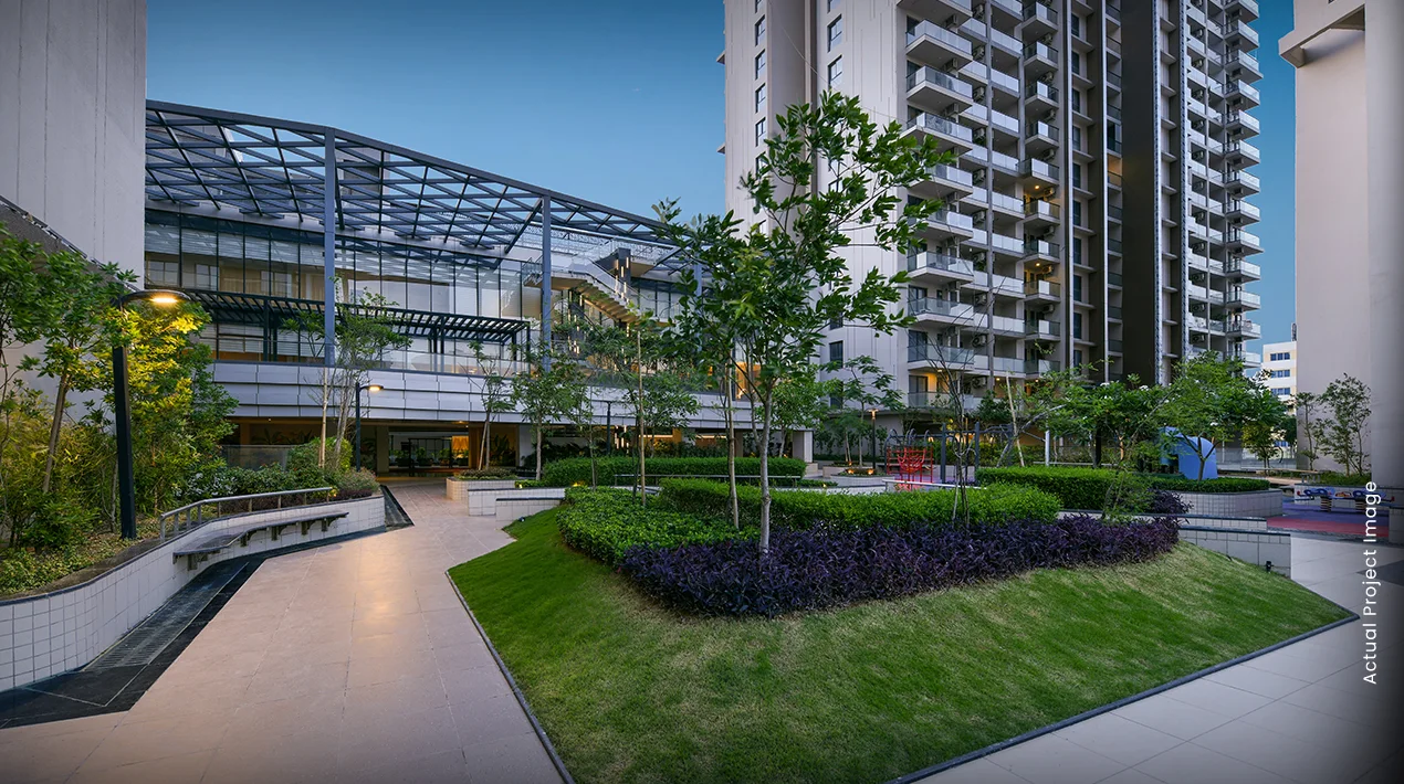 Glimpeses_1_-_txCVBFqdwb7H