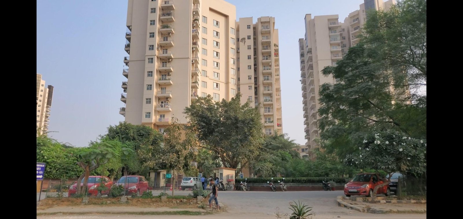 dulapai_1732598479_533453201_optOrig