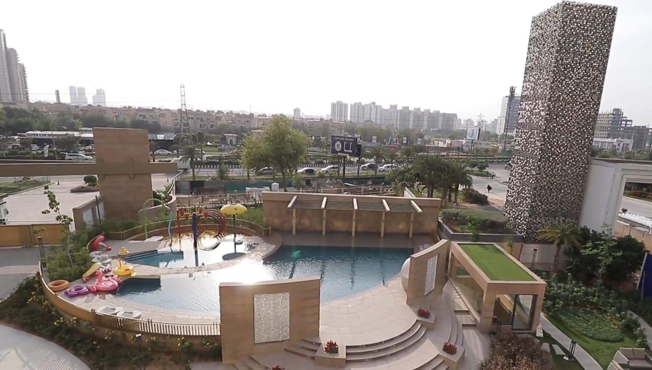 elycipo_1739342789_568837425_optOrig