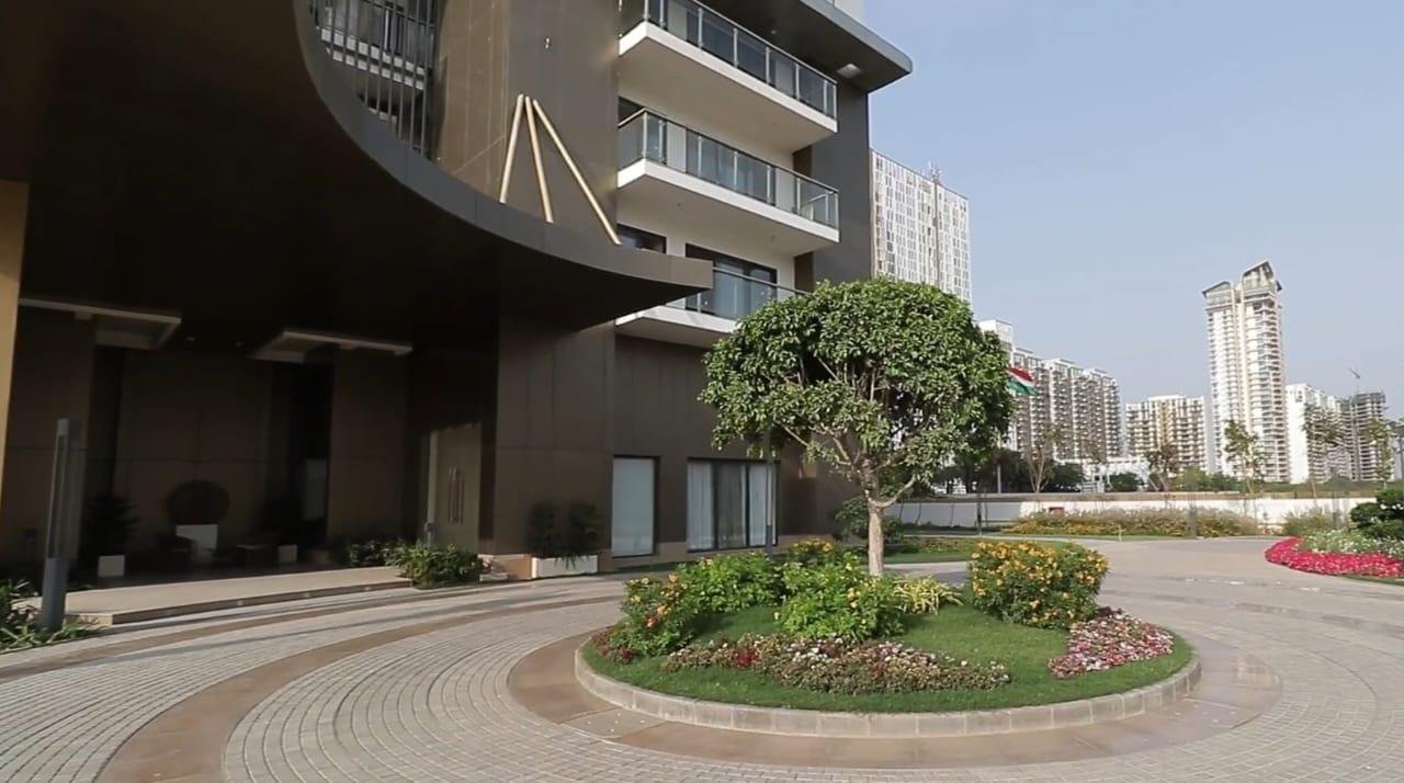 trsy7gi_1739342791_568837445_optOrig