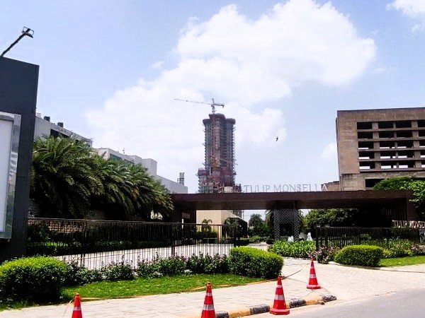 Tulip-Monsella-Golf-Course-Road-Service-road-scaled-qb4ppvmd3kflykw627097dl91bjzsksna2dna96