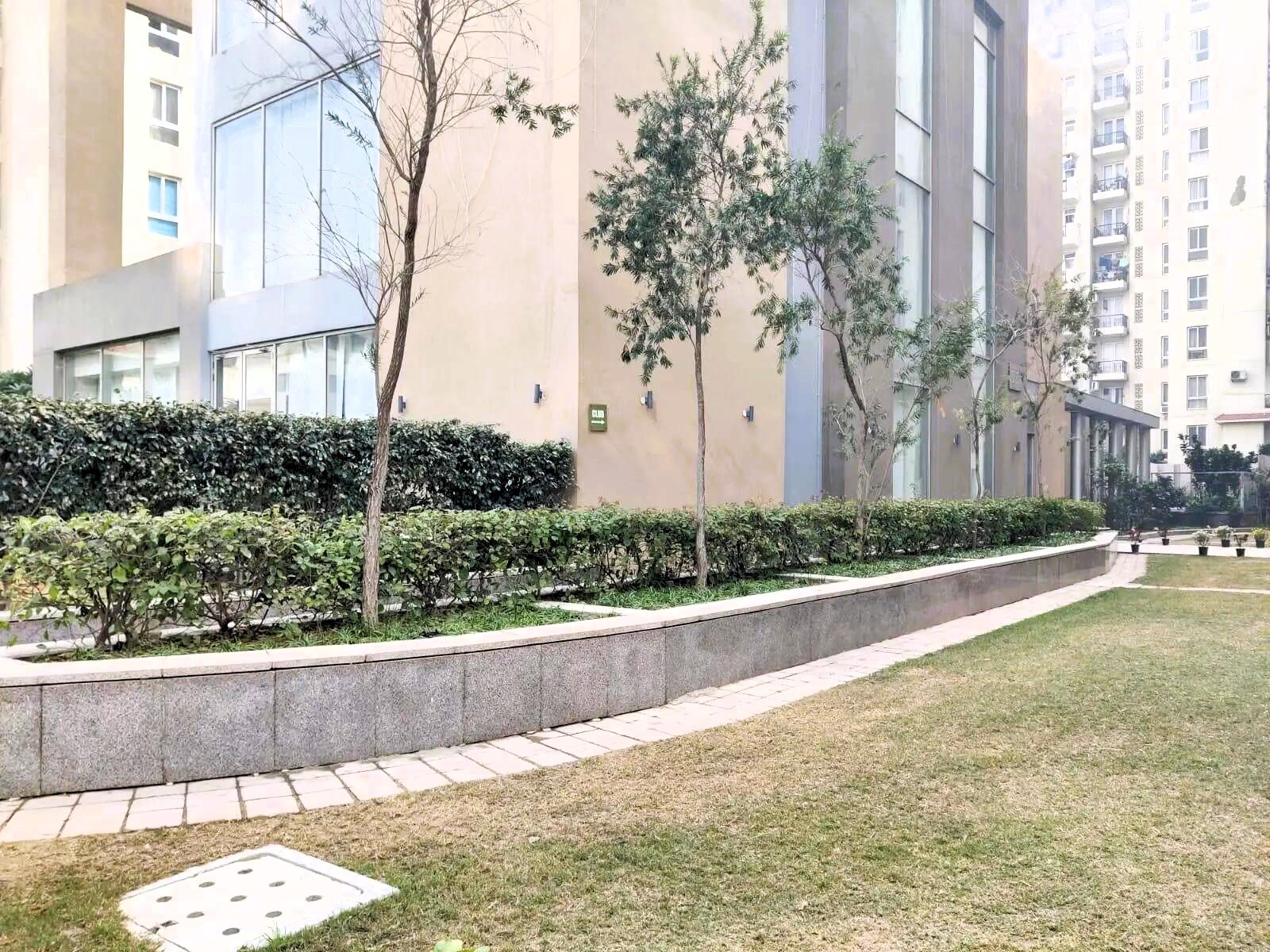 fgf613k_1770009410_707191473