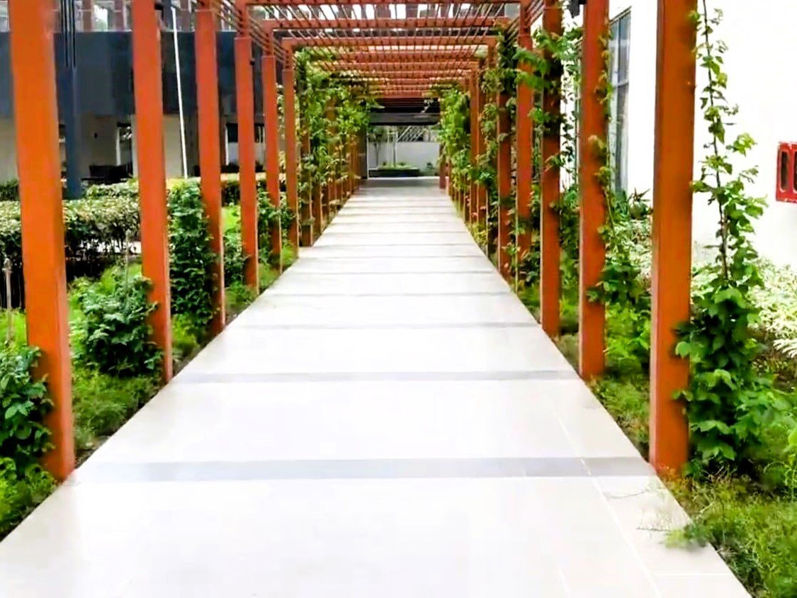 rshkatv_1738648984_566653375