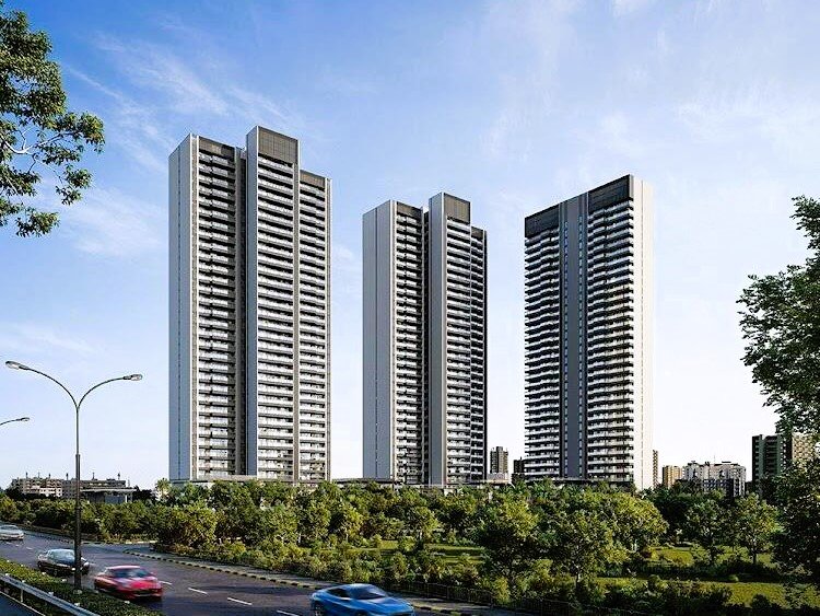 sepx1zy_1737624567_563691949_optO