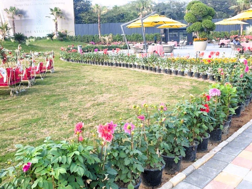 y4k9zia_1767851067_695981493