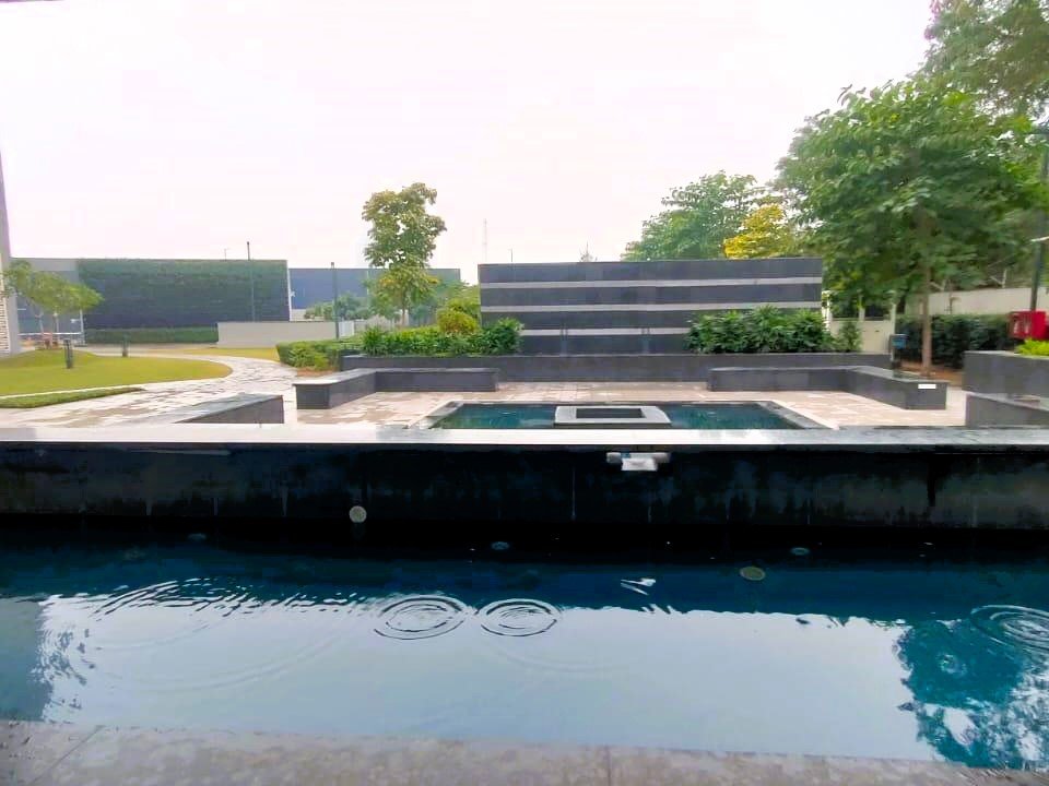 zycdpzy_1737711830_564000581